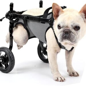 Silla de ruedas para perros pequeños para patas traseras, carro de silla de ruedas ligero para gato