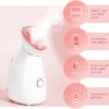 Vaporizador facial nano-iónico, vapor caliente para sauna o SPA casero - Imagen 2