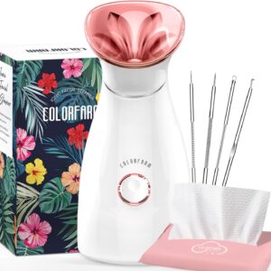 Vaporizador facial nano-iónico, vapor caliente para sauna o SPA casero