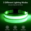 Vizpet Collar para perro con luz LED (Amarillo) - Imagen 2