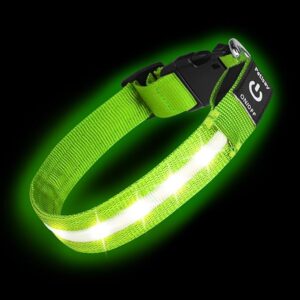 PetIsay Collar para perro con luz