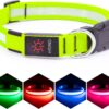 Vizpet Collar para perro con luz LED (Amarillo) - Imagen 5