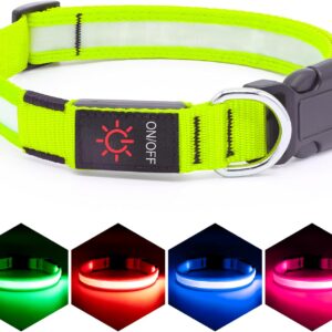 Vizpet Collar para perro con luz LED (Amarillo)