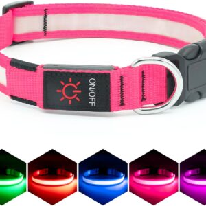 Vizpet Collar para perro con luz LED (Rosado)