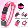Vizpet Collar para perro con luz LED (Rosado) - Imagen 2