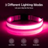 Vizpet Collar para perro con luz LED (Rosado) - Imagen 4