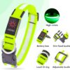 Vizpet Collar para perro con luz LED (Amarillo) - Imagen 3