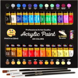 Juego de pintura acrílica en lienzo, 24 colores