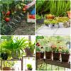 Sistema solar de riego por goteo para jardín, kits de riego por goteo automático - Imagen 4