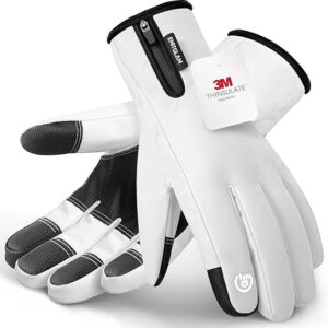 Guantes de invierno para hombres y mujeres, fabricados con aislamiento 3M premium, guantes de esquí de nieve impermeables con 10 dedos para pantalla táctil y tela de 5 capas, guantes térmicos talla L
