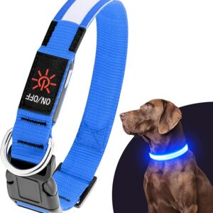 Illumifun Collar LED para perro, collar recargable de moda que brilla en la oscuridad, resistente al agua, collar de seguridad para mascotas para que tus perros caminen por la noche (azul, mediano)