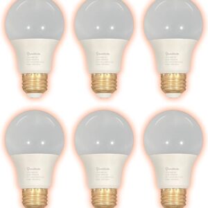 GoodBulb Reemplazo de 60 vatios – 9 vatios de servicio áspero LED A19