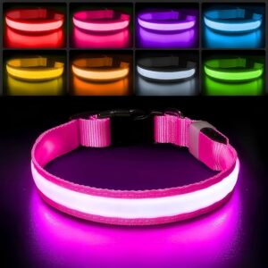 PcEoTllar Collar de perro iluminado para caminar por la noche, collar de perro con luz LED.