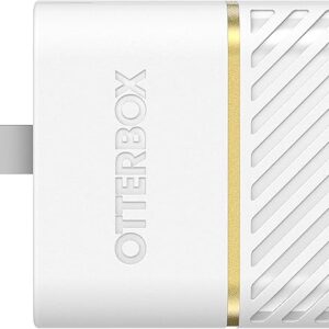 OtterBox Kit de cargador de pared USB-C, 20 W + OtterBox USB-C a Lightning- Cloud DUST.