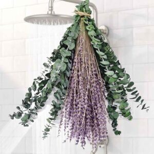 70 tallos de eucalipto conservados secos grandes y flores de lavanda para ducha.