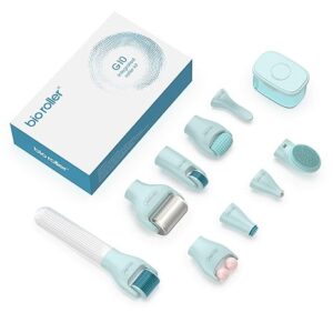 Kit de rodillo Derma 10 en 1, rodillo de microagujas.