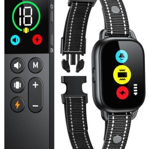 Collar de entrenamiento