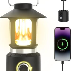 Phylosal Linterna LED retro clásica para campamento, linterna vintage recargable sin atenuación