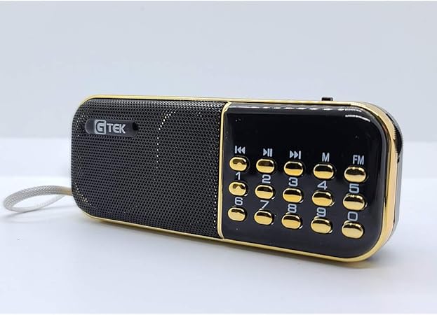 Gtek Gurbai Radio Player Nitnem, Sukhmani Sahib, Simran, Kirtan (no incluye caja original) - Imagen 6