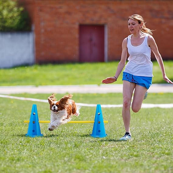 Set Vallas de Entrenamiento, Agilidad 18 Piezas, para Perros, 12 Pilones y 6 Postes - Imagen 6