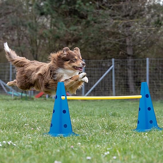 Set Vallas de Entrenamiento, Agilidad 18 Piezas, para Perros, 12 Pilones y 6 Postes - Imagen 5