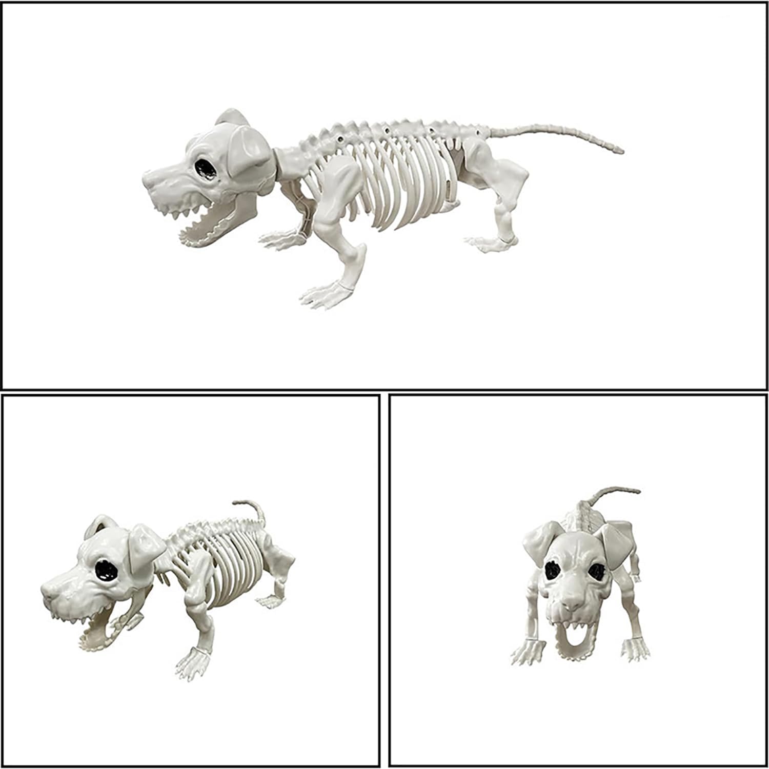 Decoraciones de esqueleto de perro de Halloween, huesos de esqueleto de plástico real. - Imagen 5