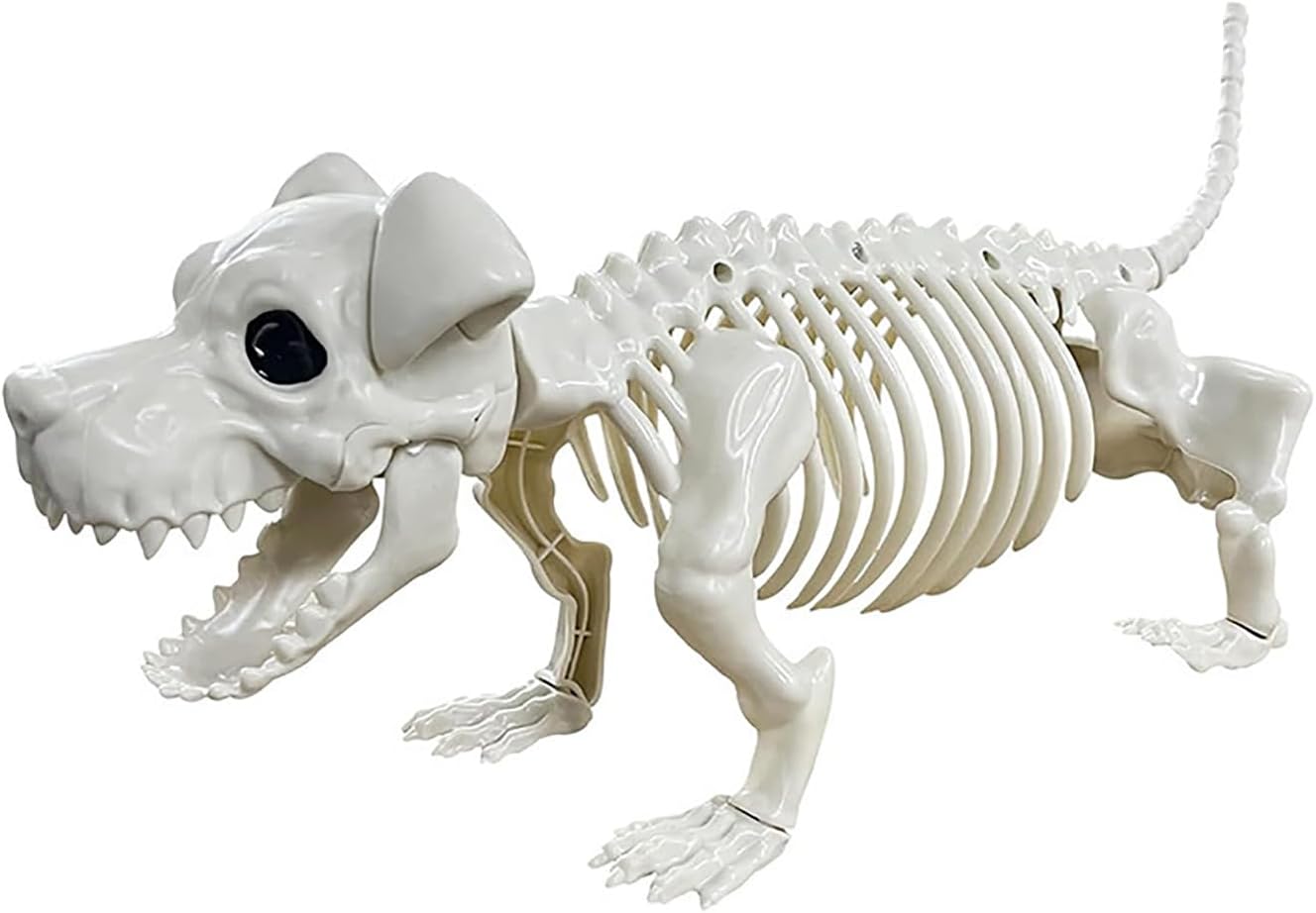 Decoraciones de esqueleto de perro de Halloween, huesos de esqueleto de plástico real.