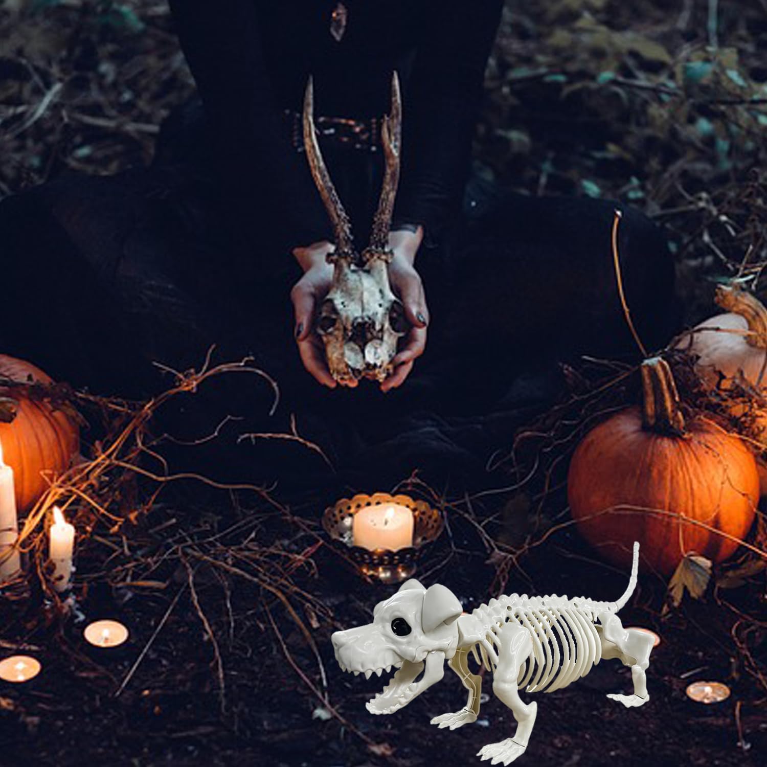 Decoraciones de esqueleto de perro de Halloween, huesos de esqueleto de plástico real. - Imagen 3