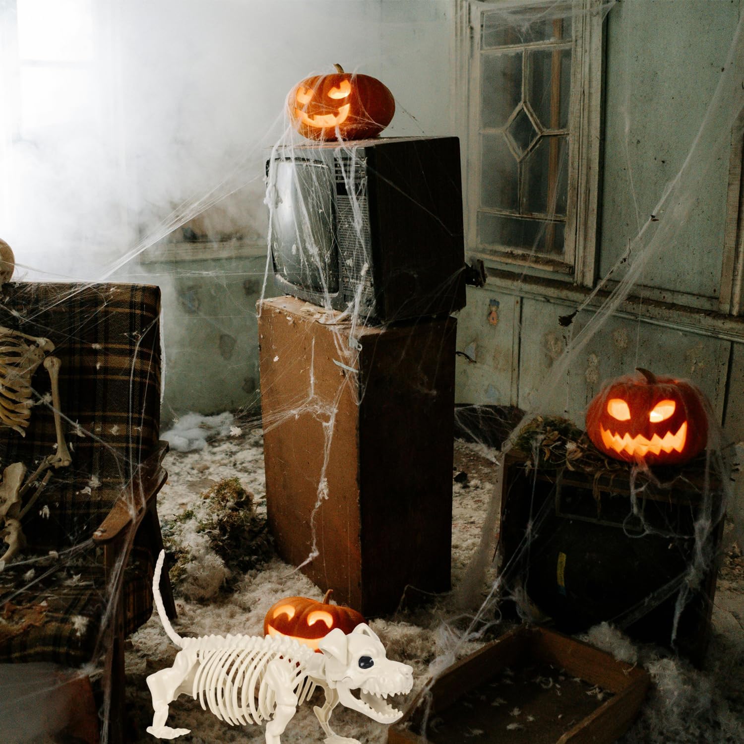 Decoraciones de esqueleto de perro de Halloween, huesos de esqueleto de plástico real. - Imagen 4