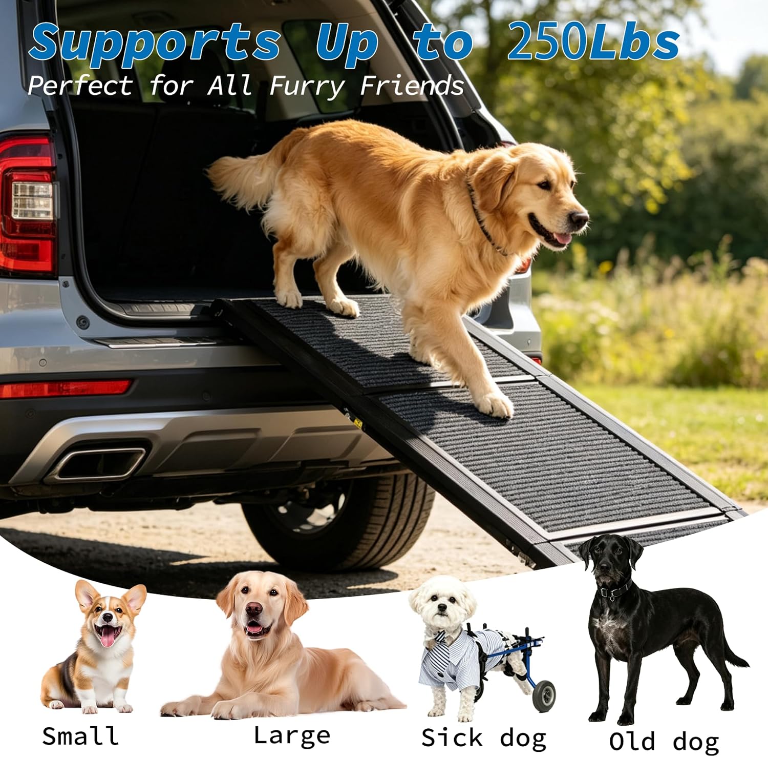 Ashfield & Harkness: Rampa de fieltro para perros, 60X17.6 pulgadas, color negro, plegable. - Imagen 3