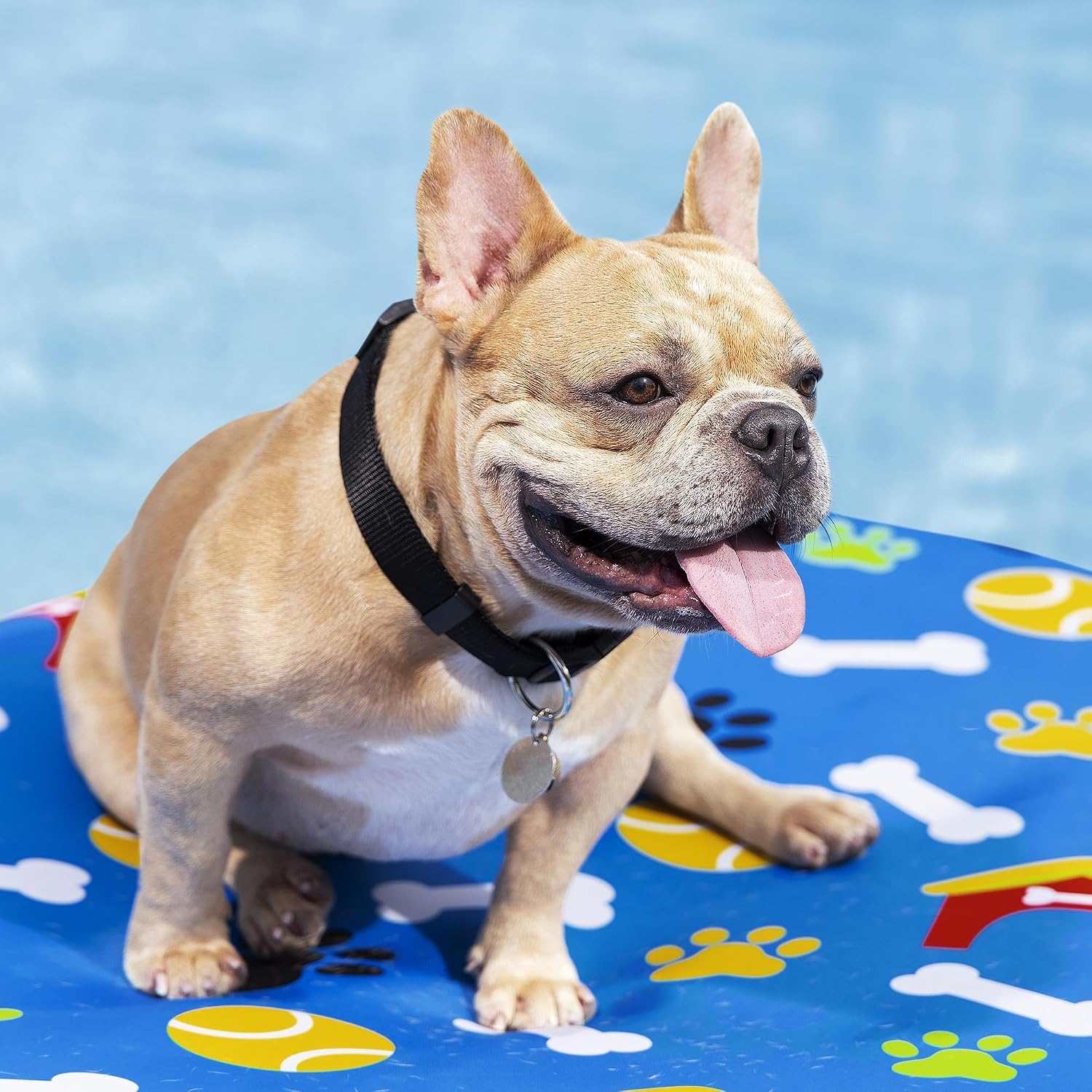 H20GO! - Flotador divertido para piscina para mascotas de 61.5 x 44 pulgadas. - Imagen 3